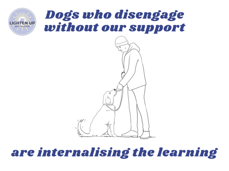 The Thinking Dog: Empowered Disengagement